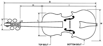 Violin drawing for measurements - top view