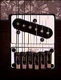 Ht-100P Strat-style