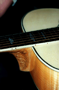 Guitar by John Greven