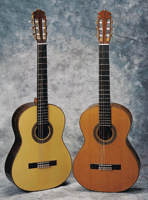 Redgate - 2 guitars