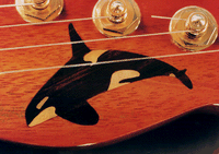 Orca inlay